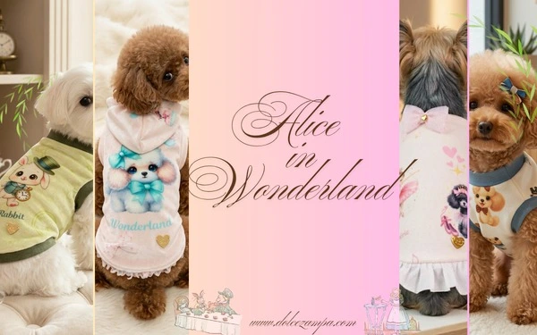 Dolce Zampa - Abbigliamento artigianale per cani